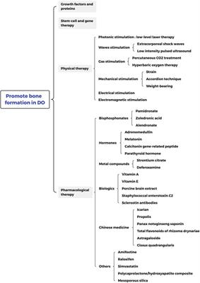 Overview of Physical and Pharmacological Therapy in Enhancing Bone Regeneration Formation During Distraction Osteogenesis